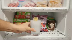 Neden Akıllı İnsanlar Evden Uzun Süre Ayrılırken Her Seferinde Dondurucuya Bozuk Para Koyar?